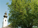 Foto für 700 Jahre Pfarrkirche Faistenau - Jakobi Fest